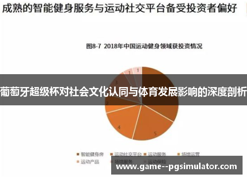 葡萄牙超级杯对社会文化认同与体育发展影响的深度剖析 葡萄牙超级杯对社会文化认同与体育发展影响的深度剖析