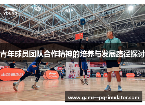 青年球员团队合作精神的培养与发展路径探讨