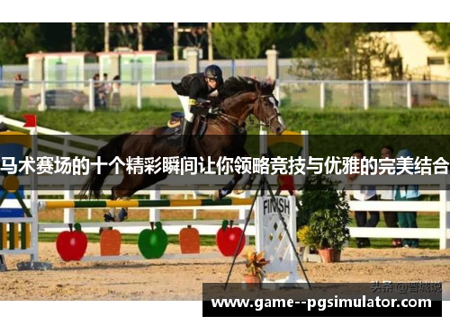 马术赛场的十个精彩瞬间让你领略竞技与优雅的完美结合 马术赛场的十个精彩瞬间让你领略竞技与优雅的完美结合