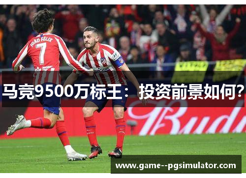 马竞9500万标王:投资前景如何? 马竞9500万标王:投资前景如何?
